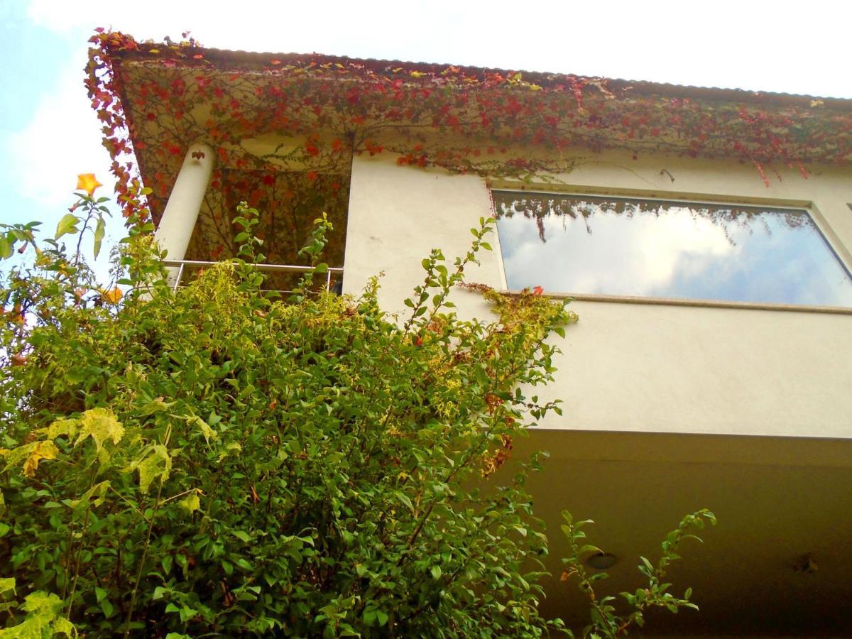 The Nest ~ Your Best Rest Sever do Vouga Dış mekan fotoğraf
