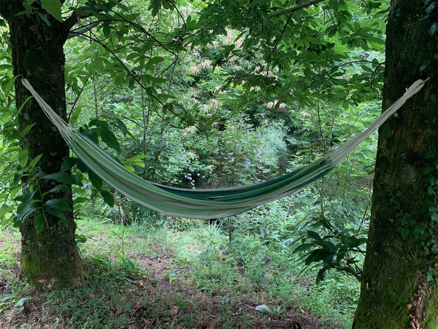 The Nest ~ Your Best Rest Sever do Vouga Dış mekan fotoğraf